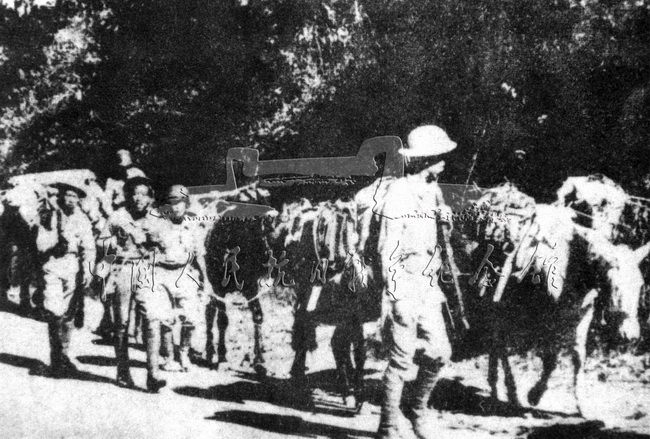 1942年4月，中国远征军新编第38师师长孙立人率部在缅西战略要地仁安羌地区营救出被包围的英军7000余人，取得仁安羌大捷。图为获救的英军与远征军一部会合后向印度转移。
