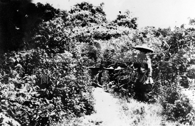 战斗在海南岛丛林中的琼崖纵队。