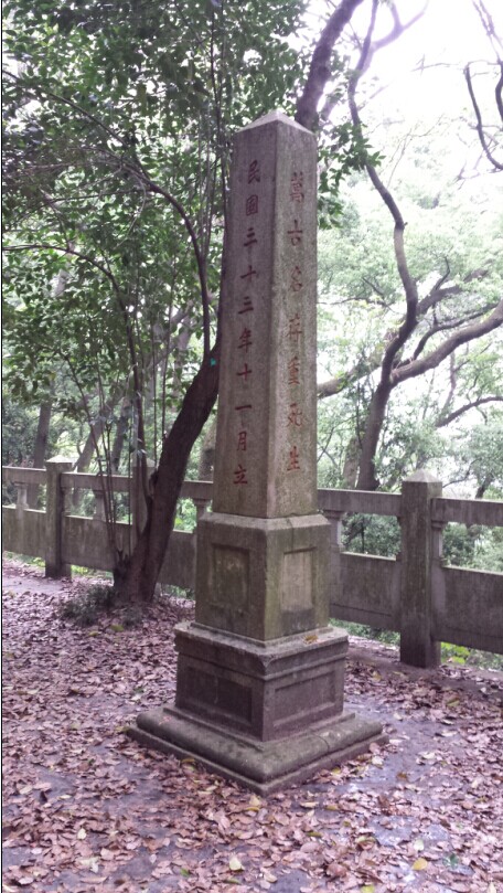 营长龙泽春烈士纪念碑，四四年立的（三）