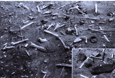 10 海拉尔要塞附近的劳工万人坑遗骨及劳工遗物