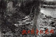 南京大屠杀历史照片
