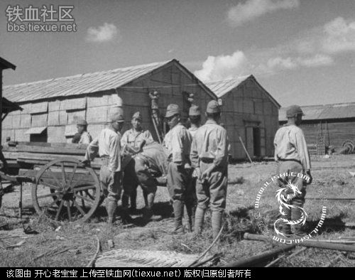 1945年抗战胜利后的上海老照片