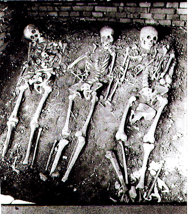 15 牛世清尸骨（中间）照，工票即在其胸部位置发现的。