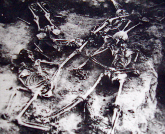 2-80 被关押在新华院的死难劳工大部分被埋葬在济南琵琶山下的万人坑中。图为部分烈士遗骨。
