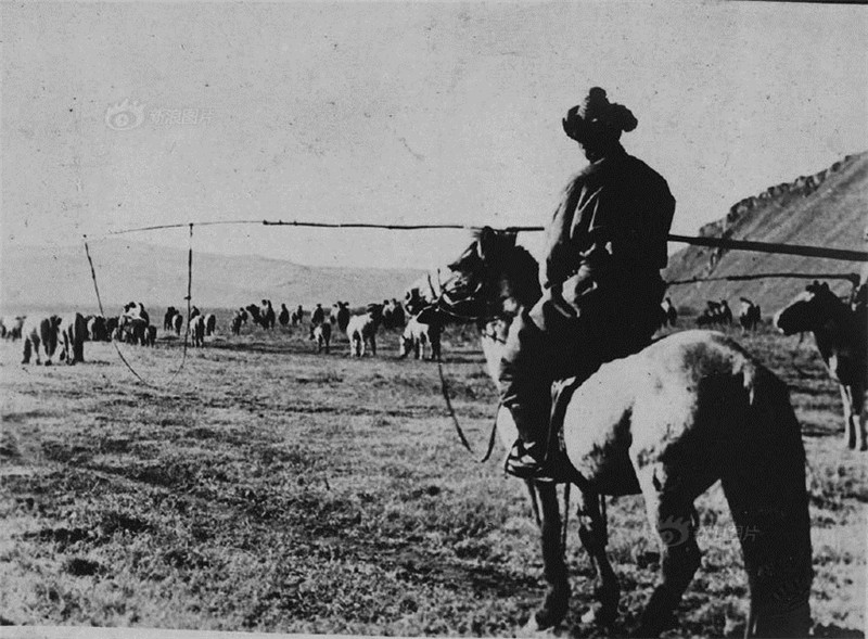 图为上世纪30年代牧马的蒙古人。