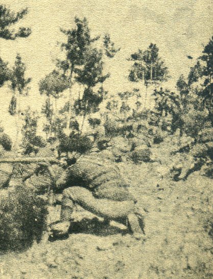 在赤峰附近山地，我义勇军埋伏在松林内向敌人射击。