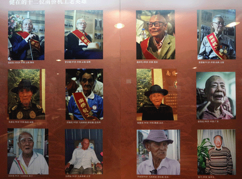 现场展出的健在的十二位南侨机工老英雄照片。