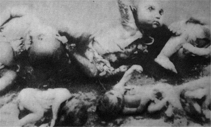 在实验中丧生的婴儿及胎儿