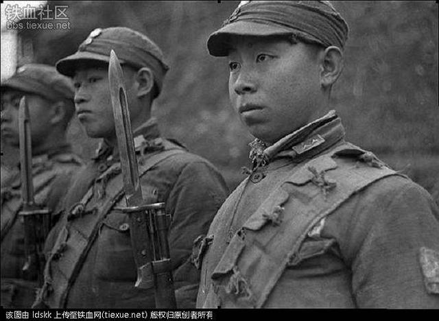 武汉会战，桂军84军伤亡一半仅剩不到千人却无人增援