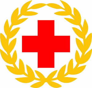 中国红十字会创立