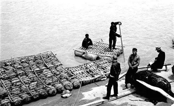就是用这样编连起来羊皮囊组成的筏子，在嘉陵江上运送汽油到重庆。