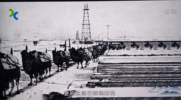 运送玉门油矿局油料的驼队。抵达广元后，再由羊皮筏子在嘉陵江上筏运到重庆。（拍照自纪录片《大后方》）